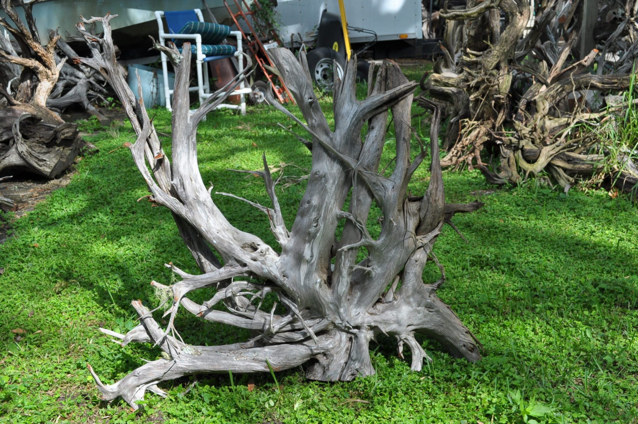 Driftwood Dining Table