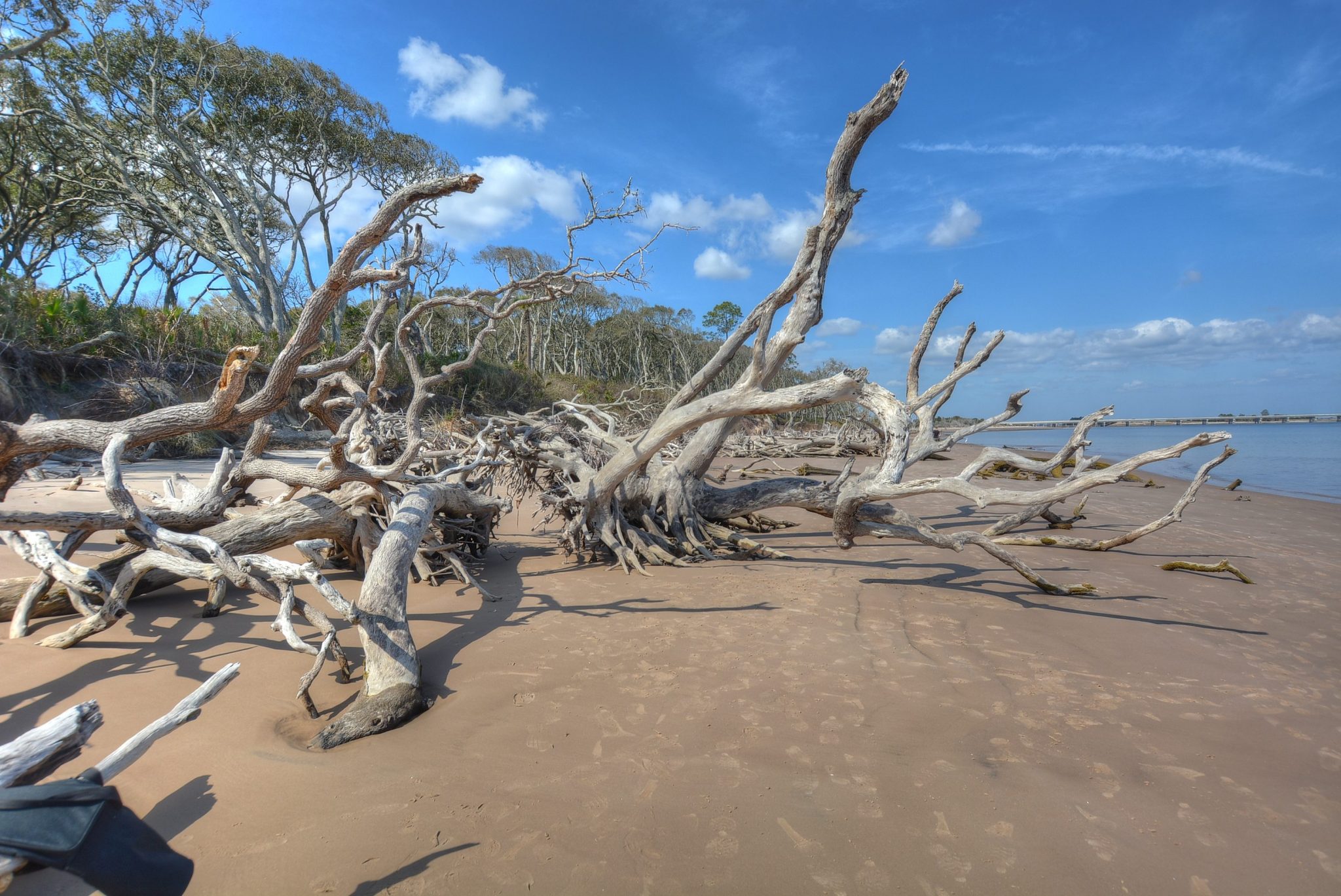 the boneyard, a driftwood beach
