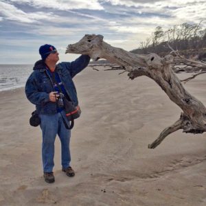 driftwood-photo